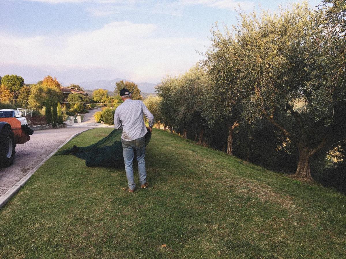 Agriturismo Ca' Cristane Rivoli Veronese Екстер'єр фото