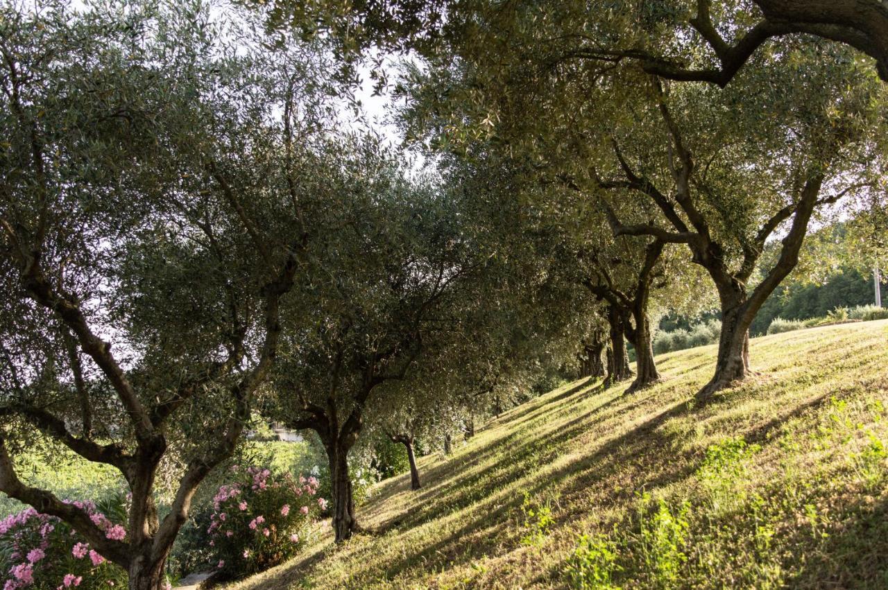Agriturismo Ca' Cristane Rivoli Veronese Екстер'єр фото