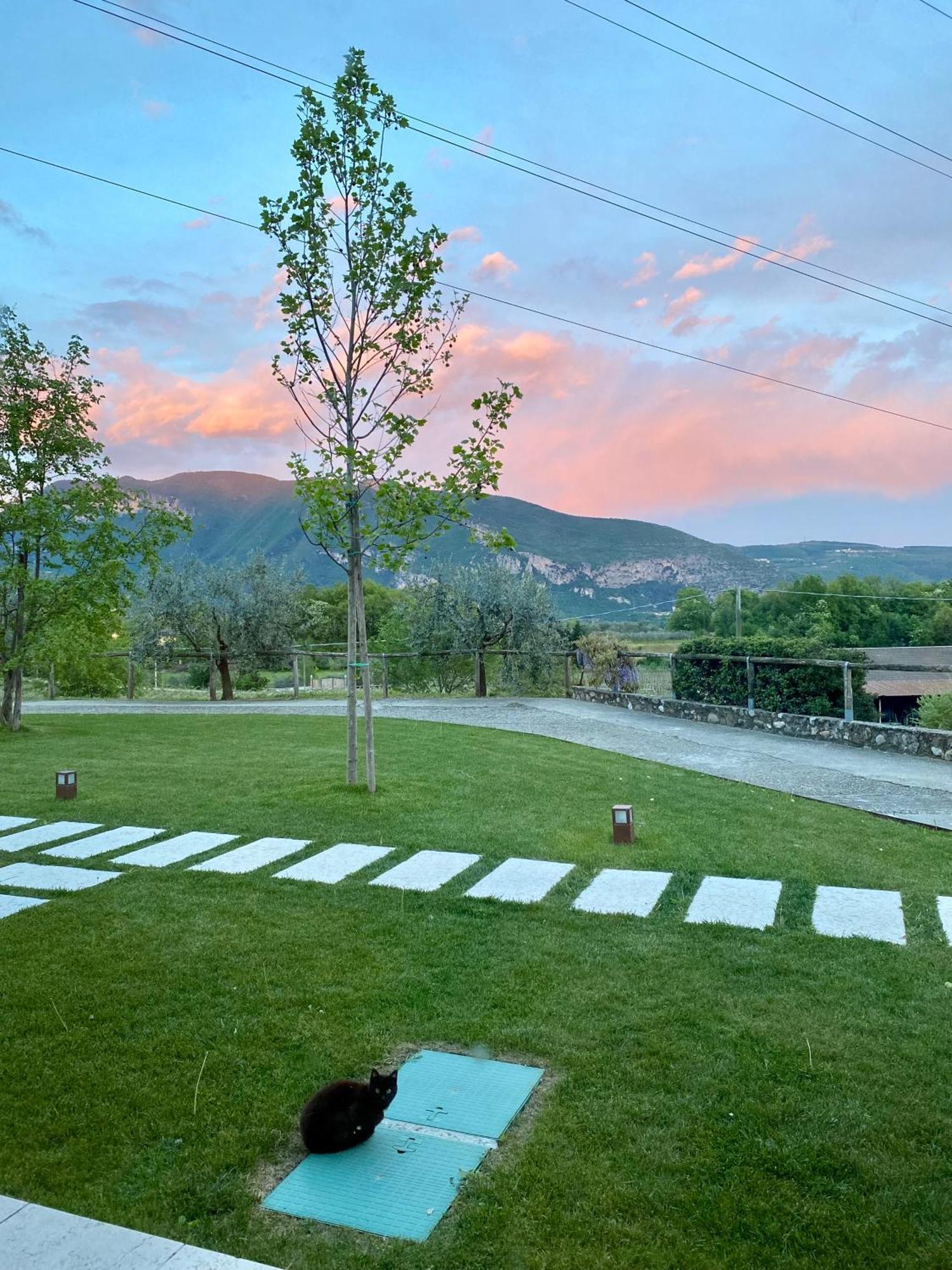 Agriturismo Ca' Cristane Rivoli Veronese Екстер'єр фото