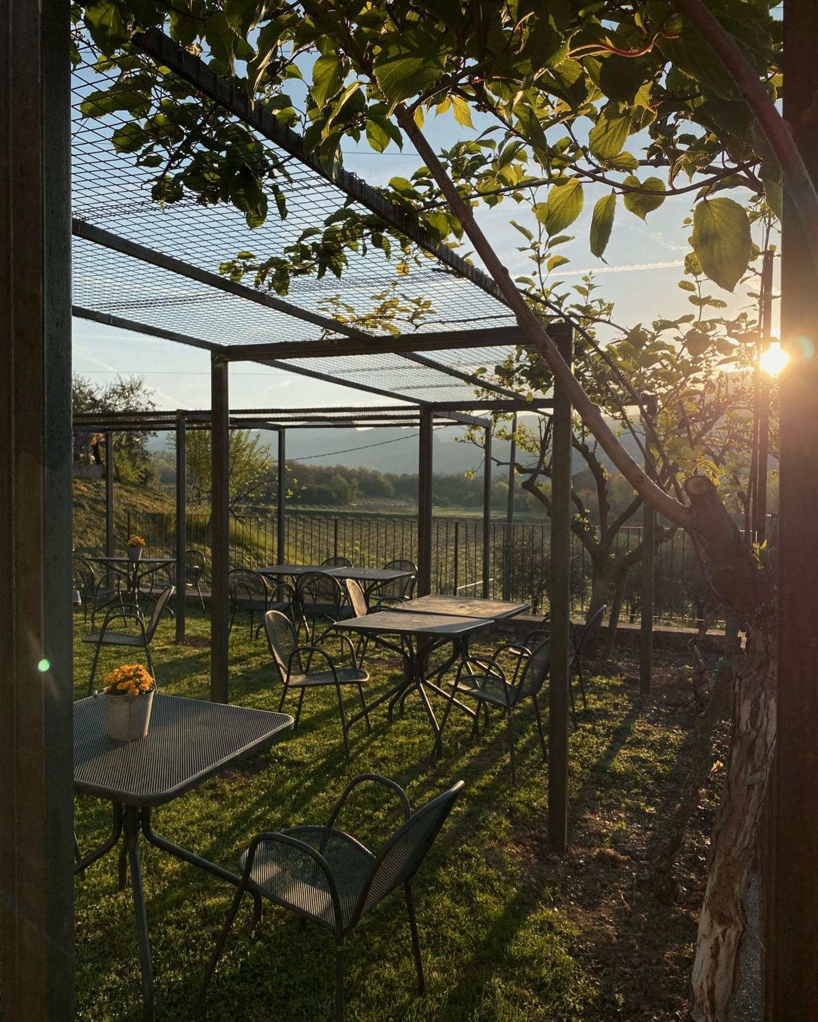 Agriturismo Ca' Cristane Rivoli Veronese Екстер'єр фото